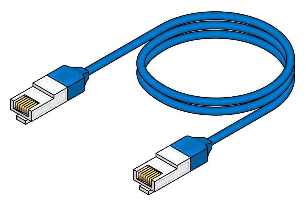 A blue ethernet network cable.